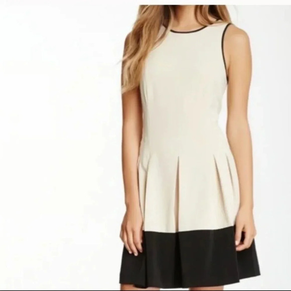 Kenzie Sleeveless Pleated Dress - Picture 2 of 9